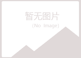 兰山区冰枫体育有限公司